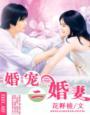 蜜汁甜宠季少甜宠