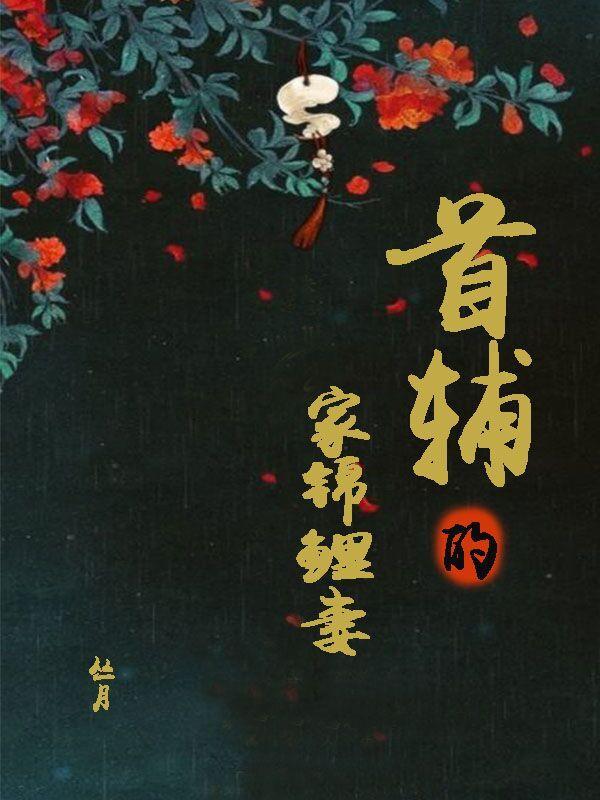 苏九月吴锡元共多少章