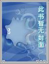宠物小精灵之阿哲