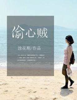 偷心贼28步广场舞视频