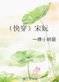 快穿之宋衿