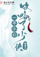 一不小心攻略了起点渣男格格党