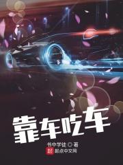 靠车吃车案件