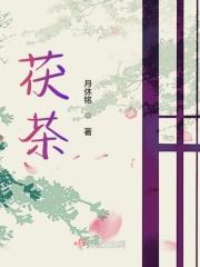 茯茶的泡法的正确方法
