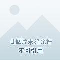 我的女皇上司全文阅读